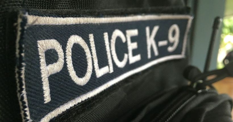 Mississippi cop leaves retired K-9 at animal shelter, is demoted to patrol duty