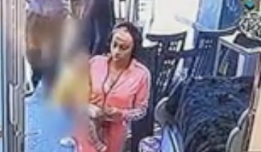 Woman steals pit bull puppy off Bronx street: Police