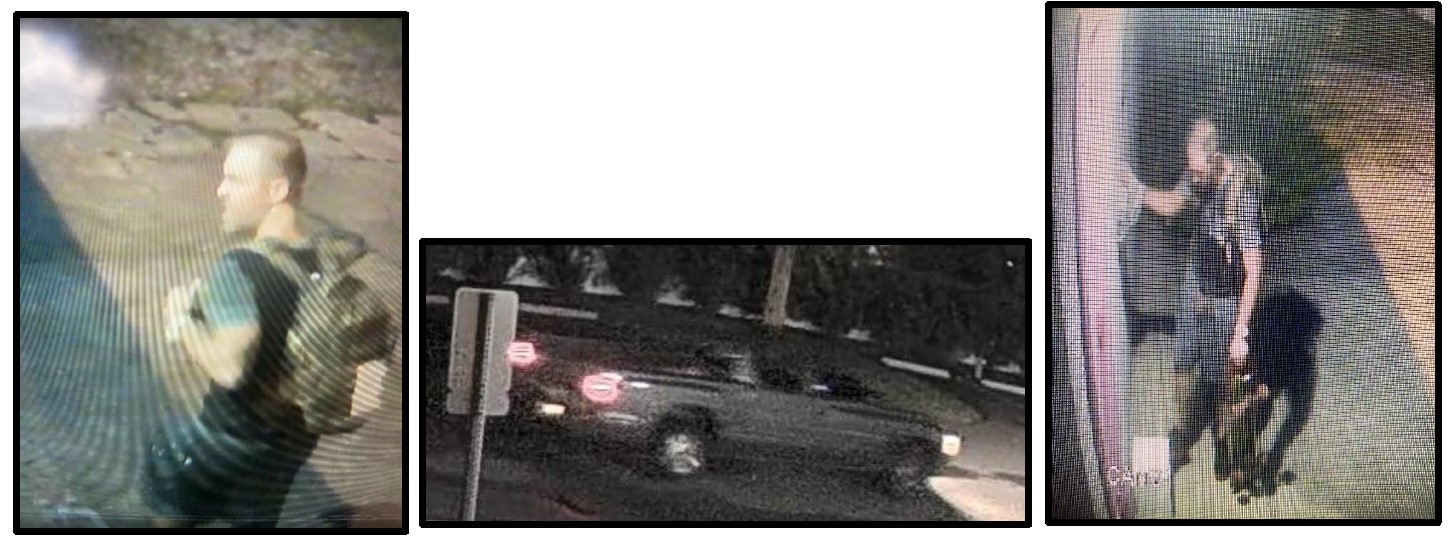 Sheriff's department seeks suspect who stole cat blood from Florida clinic 11 cat-blood-suspect-st-johns-county-fb